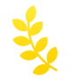 award_left.png